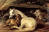 The Arab Tent by Sir Edwin Henry Landseer